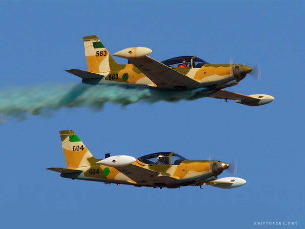 Libyan Air Force, SIAI-Marchetti SF-260WL Warrior