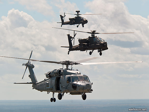 U.S. Army Defends Move to Strip Guard of Apaches