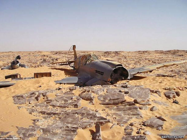 Second World War RAF P-40 Discovered In The Sahara