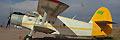 Libyan Air Force Antonov An-2 Colt